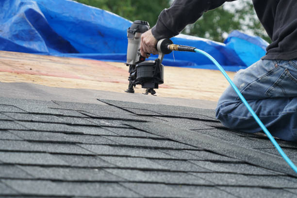 Best Roof Repair Services  in Fishhook, AK